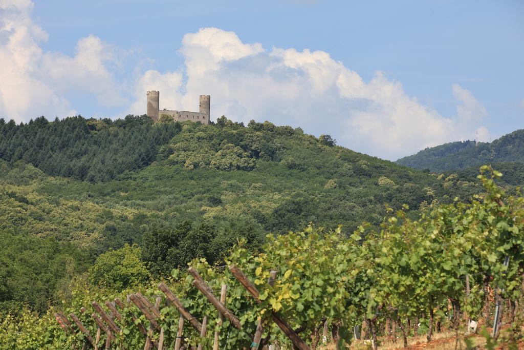 Hotel-Restaurant Du Chateau D'Andlau Barr Εξωτερικό φωτογραφία